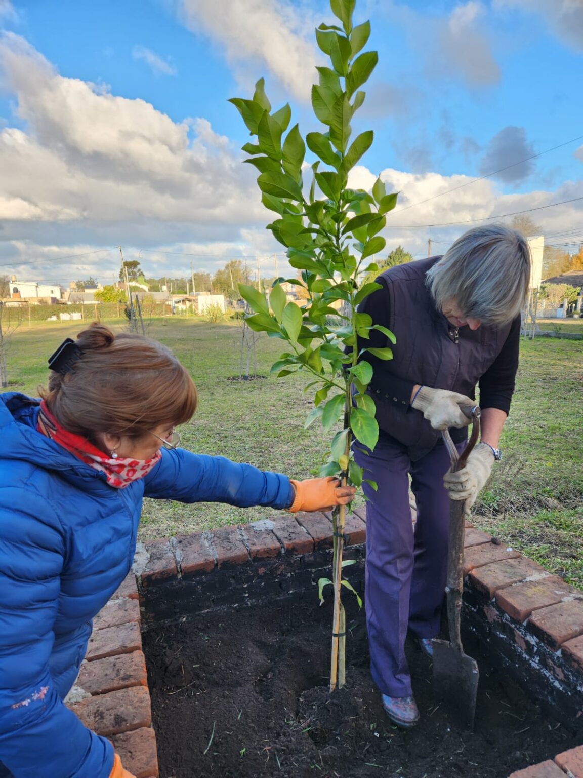 WhatsApp Image 2024-05-25 at 17.33.29 (2)